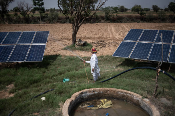Rural Rajasthan solar panel installation being maintained